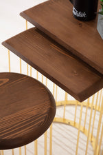 Nova Zigon Sehpa (Gold)