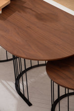 Ripa Orta Sehpa Ceviz