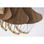 Carmen Zigon Sehpa Pirinç