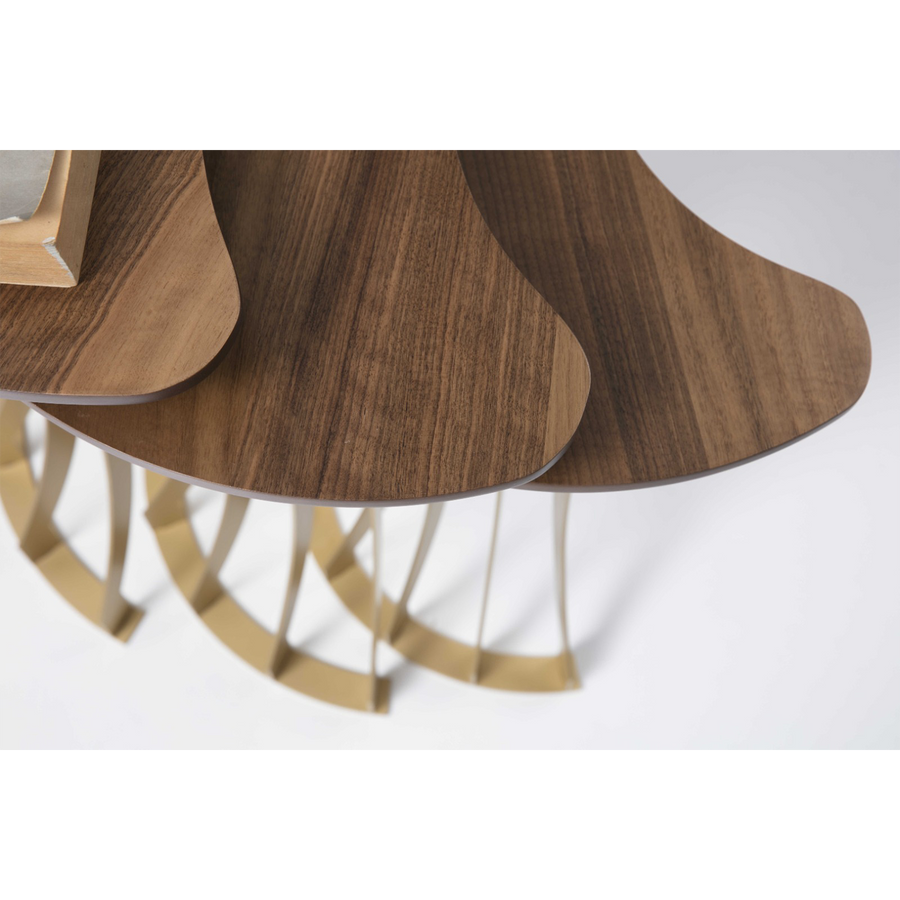 Carmen Zigon Sehpa Pirinç