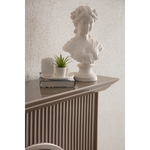 Olivia Şömine Vizon